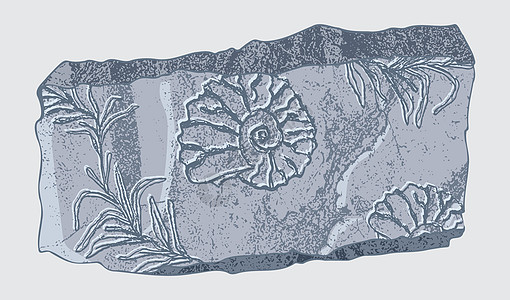 带有史前动物 昆虫和植物骨骼印记的石头 灰色考古学 裂缝岩石碎片 碎片巨石 一套逼真的手绘艺术 矢量图插图草图卡通片脚印叶子瓦砾图片