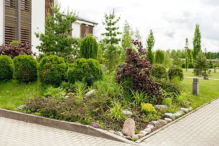 现代住宅前院前的各种植物和石头 景观设计 美丽的花园 带私人庭院的现代都市生活住宅 绿色户外设施 草坪 花园护理家庭房屋建筑物小图片