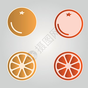 柑橘 橙子 葡萄水果 矢量插图图片