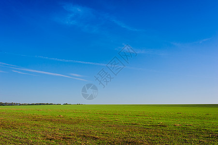 乌克兰绿色麦田 蓝天和太阳 白云 仙境 未成熟的绿色麦田在夏天日落天空下与云 未成熟的绿色麦田在夏天日落天空下与云地面配置村庄天图片