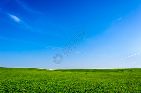 乌克兰绿色麦田 蓝天和太阳 白云 仙境 未成熟的绿色麦田在夏天日落天空下与云 未成熟的绿色麦田在夏天日落天空下与云营养蓝色国家边图片