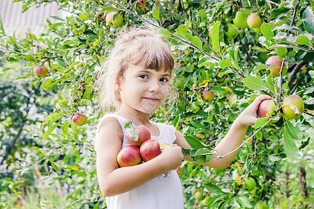 带孩子的孩子有苹果 有选择的焦点投标孩子们女孩幸福臀部农场收成营养花园叮咬图片