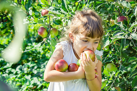 夏季花园里有苹果的孩子 有选择性的焦点农场微笑工作营养生活婴儿幸福女孩水果家庭图片