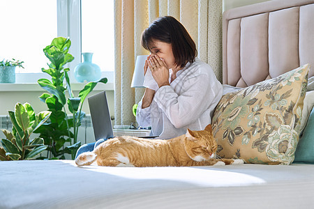 妇女对家用猫毛过敏打喷嚏组织疾病女士症状哮喘鼻炎头发宠物小猫呼吸图片