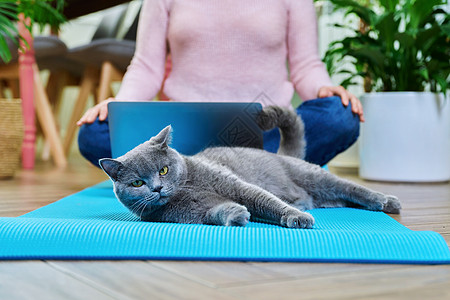 坐在瑜伽垫子上 用笔记本电脑和猫 用莲花姿势坐在家里的妇女活力身体呼吸活动女性地面宠物女士训练娱乐图片