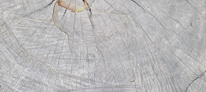 带有暗纹理和抽象线条的树干日志乡村药片老化木板树桩黑暗木头苦恼杂志图片
