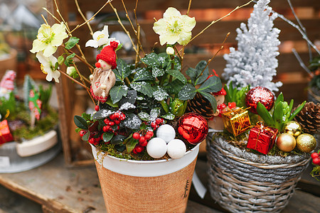 圣诞成品和锅里的植物图片