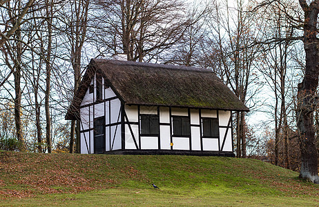 丹麦 旧乡间房屋有戴帽子的屋顶外观农村农场房子村庄窗户乡村小屋晴天历史性图片