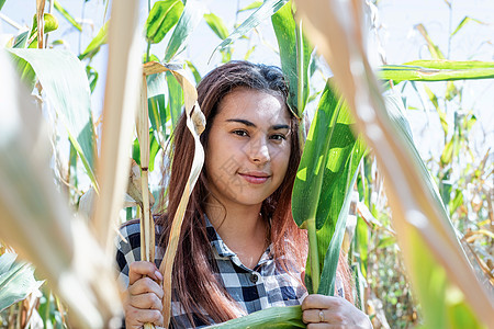 玉米作物中富饶的女天主教女性收成国家农业天空场地环境农民季节收获农田图片
