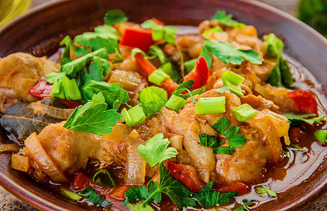 用洋葱和蔬菜煮鸡肉 番茄酱美食桌子木板午餐食物青菜乡村黏土食谱盘子图片