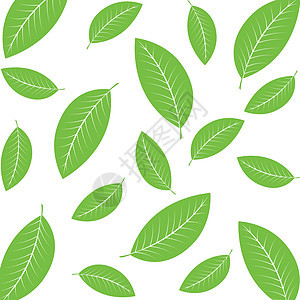 绿茶叶图标矢量绿茶植物生态标识绿色草本植物插图叶子草本黑色图片