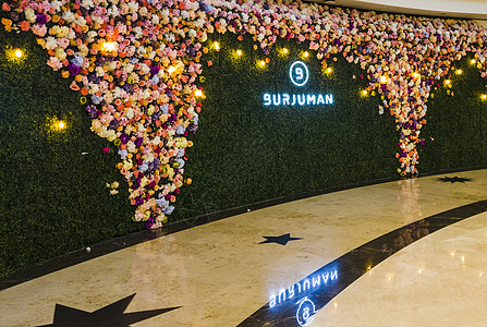 阿联酋迪拜     2022年9月26日-Burjman商场花卉墙安装图片
