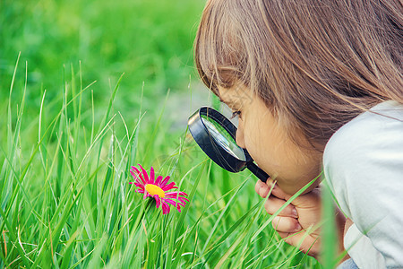 儿童在放大镜中寻找 增加 有选择地关注眼睛横幅喜悦植物兴趣乡村手表童年游戏树叶图片