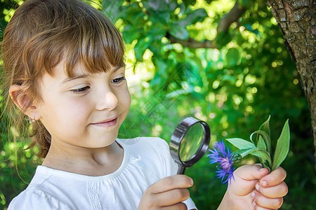 儿童在放大镜中寻找 增加 有选择地关注树叶植物木板女性眼镜眼睛乡村喜悦童年孩子图片