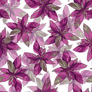 苋菜花图案 灿烂的夏日花卉图案 紫色的 矢量图 植物插图图片