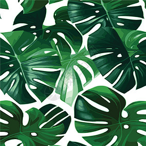 绿色怪兽图案白背景 热带树叶的异国模式 矢量说明 怪物叶棕榈情调植物生长打印花瓣生态装饰品丛林叶子图片