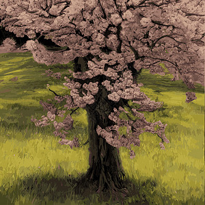 现实的萨库拉树 高雅的日本特色 有粉红色花瓣在绿色草原上的鲜花植物 亚洲人卡片晴天季节果园野花天堂植物学模仿花园水果图片