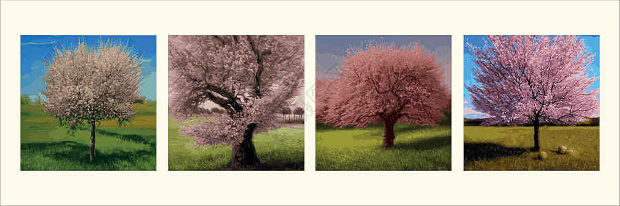 套与春天苹果开花的传染媒介背景 开花的分支春天与落花瓣 粉红色的樱花热带花束植物群季节生长卡片森林水果花园橙子图片