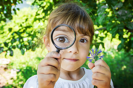 儿童在放大镜中寻找 增加 有选择地关注木板树叶游戏乡村女性显微镜洋甘菊童年横幅喜悦图片