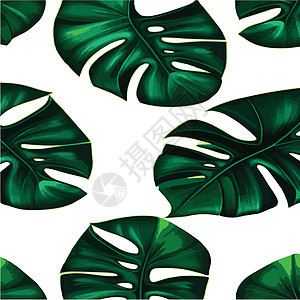 绿色怪兽图案白背景 热带树叶的异国模式 矢量说明 怪物叶植物学装饰品植物丛林打印叶子墙纸生长纺织品假期图片