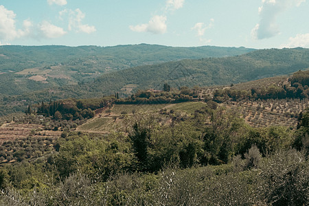 托斯卡纳风景和地标的美景 意大利夏季建筑乡村历史性大教堂农业旅行建筑学胡同旅游住宅图片