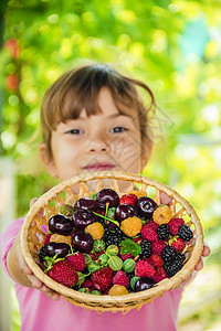 孩子在花园里采樱桃 有选择地集中注意力边界母亲孩子们横幅食物女孩水果生态太阳生长图片
