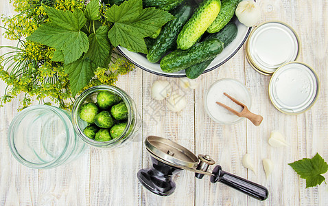 保护新鲜的黄瓜 有选择的重点蔬菜收获盒子食物女士胡椒罐头香料钢坯横幅图片
