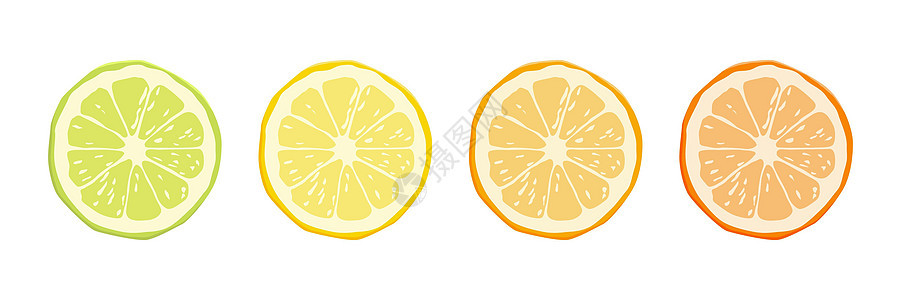 矢量柑橘类水果图标集-黄色柠檬 绿色石灰 橙色普通话 葡萄柚 孤立在白色背景上的圆形切片设计元素图片