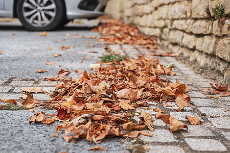 铺面公路上干枯的秋天树叶 背景上的汽车泊车图片