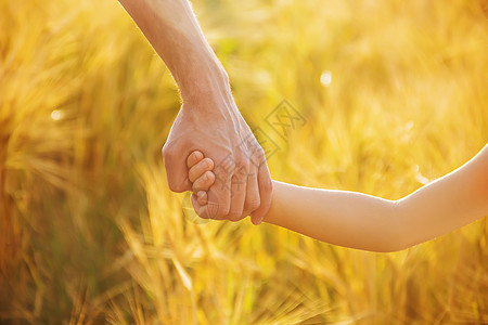 在小麦田里有孩子和父亲的手婴儿小麦男人生活面包童年孩子们爸爸信仰友谊图片