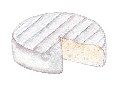 水色白奶酪 在白色上隔绝了模子 卡梅特轮式手画插图图片