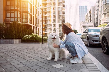 日落时 女人拥抱一只大狗犬类动物野餐城市女士训练皮带友谊街道闲暇图片