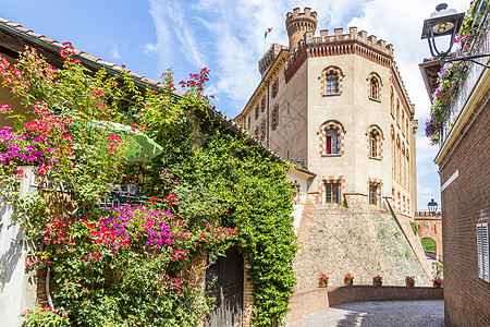 意大利Unesco工地村Barolo城堡叶子爬坡全景村庄天堂旅游旅行山坡栽培国家图片
