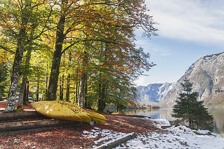 斯洛文尼亚Bohinj湖海岸秋季森林的独木舟岩石旅行公园国家旅游墙纸淡水湖泊乐趣高山图片