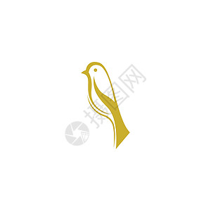 Goldfinch 图标图标标识模板矢量金子黄色飞行羽毛动物艺术麻雀插图野生动物翅膀图片