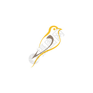 Goldfinch 图标图标标识模板矢量飞行野生动物翅膀羽毛插图收藏金子动物群尾巴动物图片