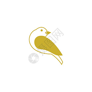 Goldfinch 图标图标标识模板矢量金子飞行动物群黄色动物翅膀野生动物艺术插图收藏图片