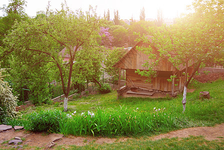 乌克兰在春季或夏季的典型景观是 白泥屋 屋顶有稻草 前景下有一棵树房子古董建筑学窗户博物馆文化树木村庄小屋黏土图片