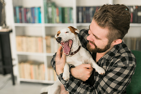 杰克罗素梗犬的快乐男主人 站在书架背景下 感到有责任照顾宠物 人与动物的关系晴天情绪化犬类感情朋友猎犬成人友谊小狗公寓图片