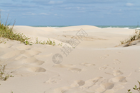 沿海沙丘岩石假期材料植被地貌爬坡游客蓝天绿色天空图片