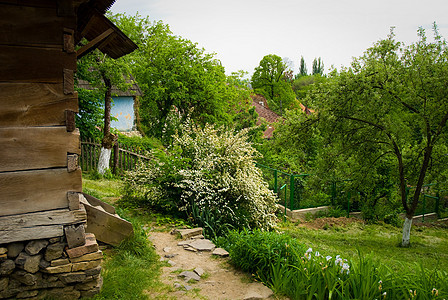 乌克兰在春季或夏季的典型景观是 白泥屋 屋顶有稻草 前景下有一棵树建筑学旅行公园地标栅栏建筑天空国家黏土花园图片