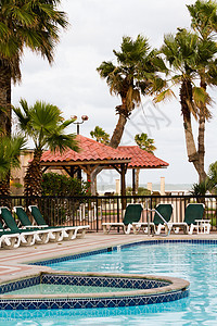 游泳池椅子植物科花园假期热带叶子躺椅游客酒店泳池图片