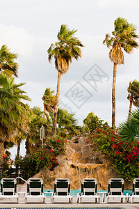 游泳池躺椅叶子棕榈瀑布岩石热带蓝色游客酒店树干图片