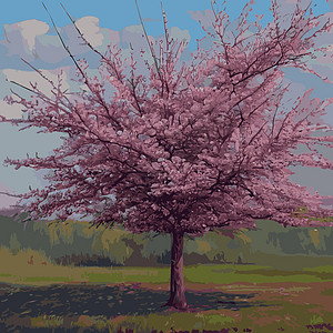 现实的萨库拉树 高雅的日本特色 有粉红色花瓣在绿色草原上的鲜花植物 亚洲人热带农业林地季节绘画花园插图叶子收藏卡片图片