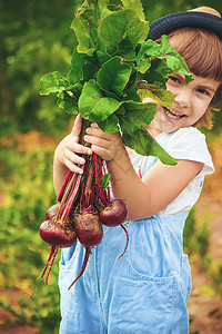 农场上的孩子和蔬菜 有选择的焦点青菜小屋孩子们花园洋葱萝卜帮助维生素生物帽子图片
