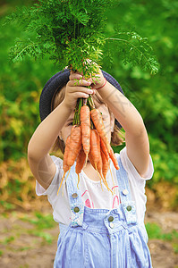 农场上的孩子和蔬菜 有选择的焦点帽子帮助生长生态维生素黄瓜萝卜小屋婴儿洋葱图片