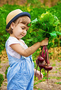 农场上的孩子和蔬菜 有选择的焦点帽子洋葱生物收成胡椒黄瓜帮助生长维生素婴儿图片