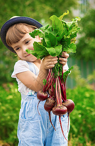 农场上的孩子和蔬菜 有选择的焦点生物生长萝卜洋葱帮助维生素幸福生态胡椒小屋图片