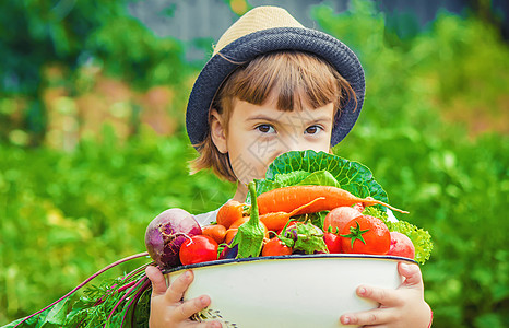 农场上的孩子和蔬菜 有选择的焦点食物营养茄子生长花园孩子们黄瓜家庭生物胡椒图片