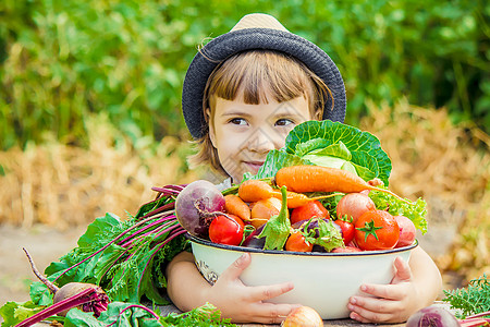 农场上的孩子和蔬菜 有选择的焦点胡椒小屋家庭黄瓜萝卜女孩婴儿帽子茄子孩子们图片